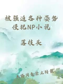 被強迫各種姿勢侵犯NP小說