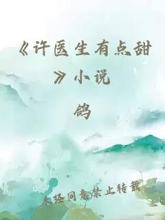 《許醫(yī)生有點(diǎn)甜》小說