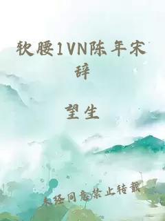 軟腰1VN陳年宋辭