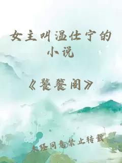 女主叫溫仕寧的小說