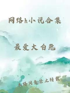 網(wǎng)絡(luò)h小說合集