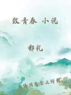 致青春 小說