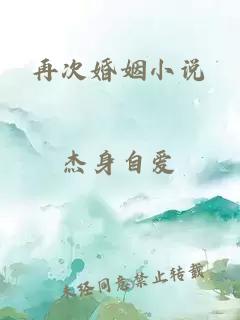 再次婚姻小說