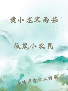 黃小龍宋雨茹