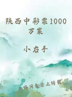 陜西中彩票1000萬案