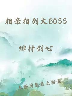 相親相到大BOSS