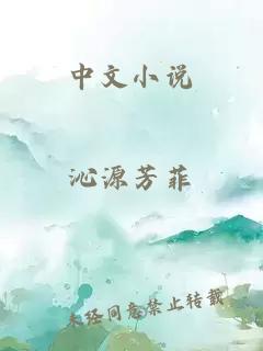 中文小說