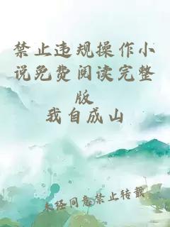 禁止違規(guī)操作小說免費(fèi)閱讀完整版