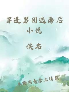 穿進男團選秀后小說