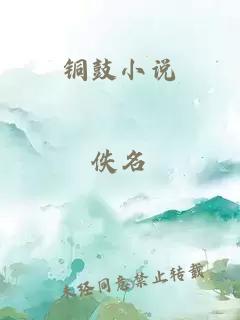 銅鼓小說