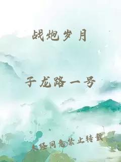 戰(zhàn)炮歲月