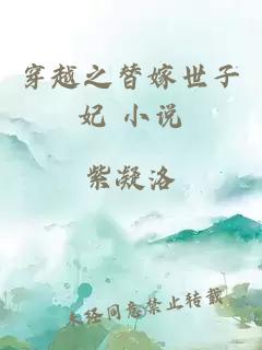 穿越之替嫁世子妃 小說