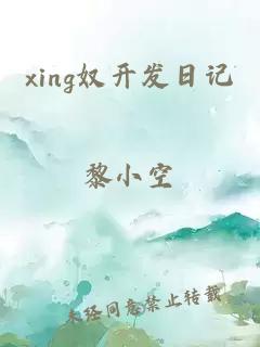 xing奴開發日記