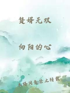 贅婿無(wú)雙