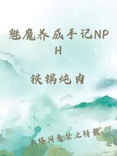 魅魔養成手記NPH