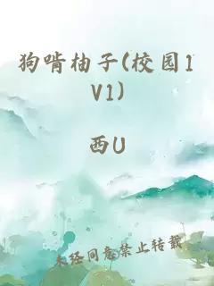 狗啃柚子(校園1V1)