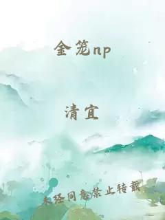 金籠np