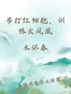 吊打紅細(xì)胞，訓(xùn)練火鳳凰