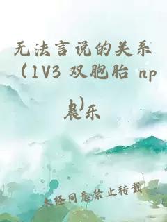 無法言說的關系（1V3 雙胞胎 nph）